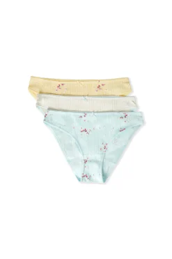 Lot de 3 culottes en coton
